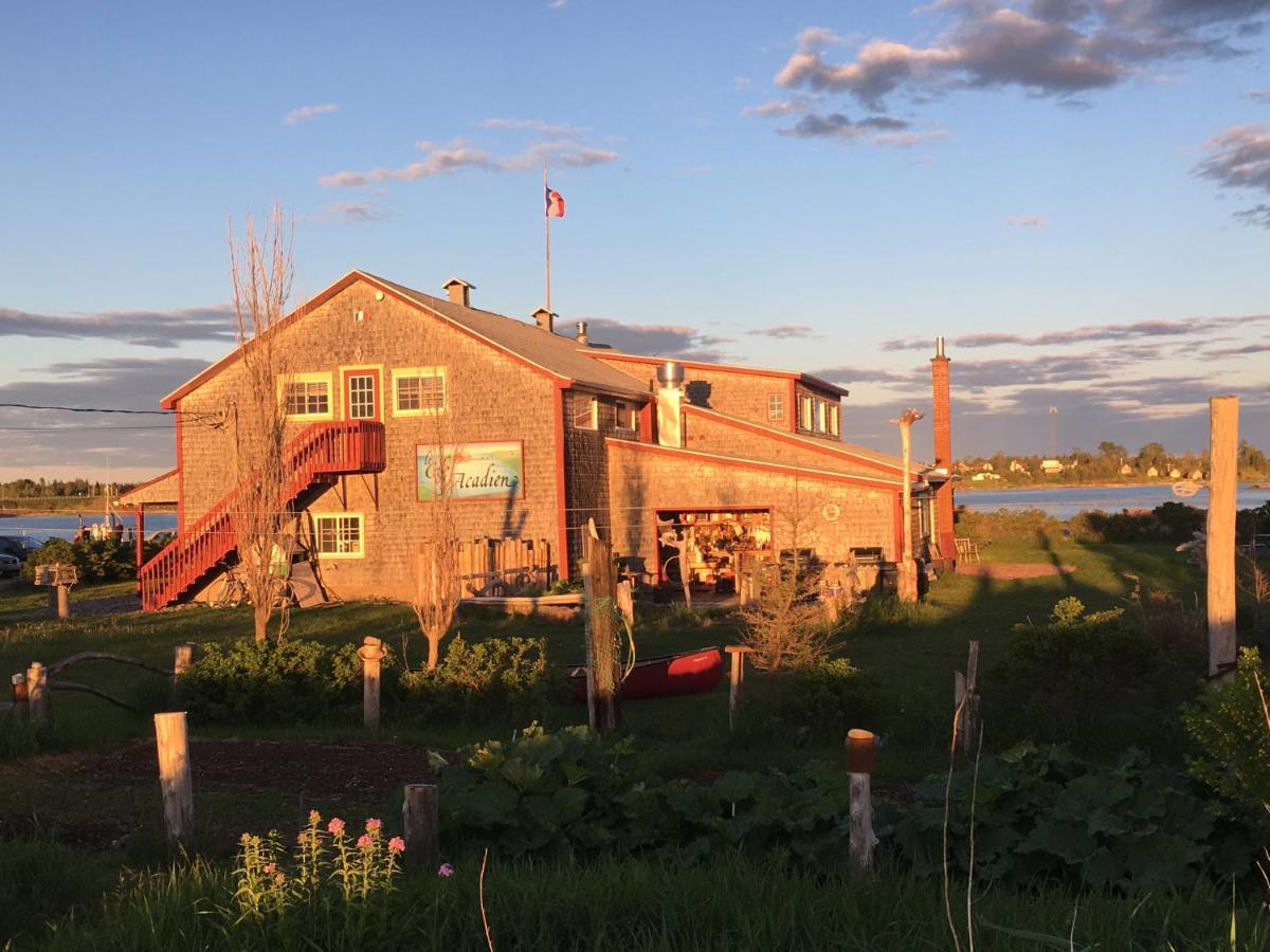 Auberge Cafe Acadien Bonaventure Exteriör bild